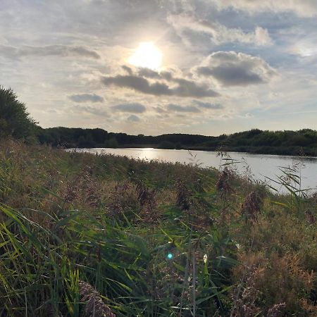 Westkapelle Comfortabele Strandkamer Aan De Kreek Eksteriør bilde