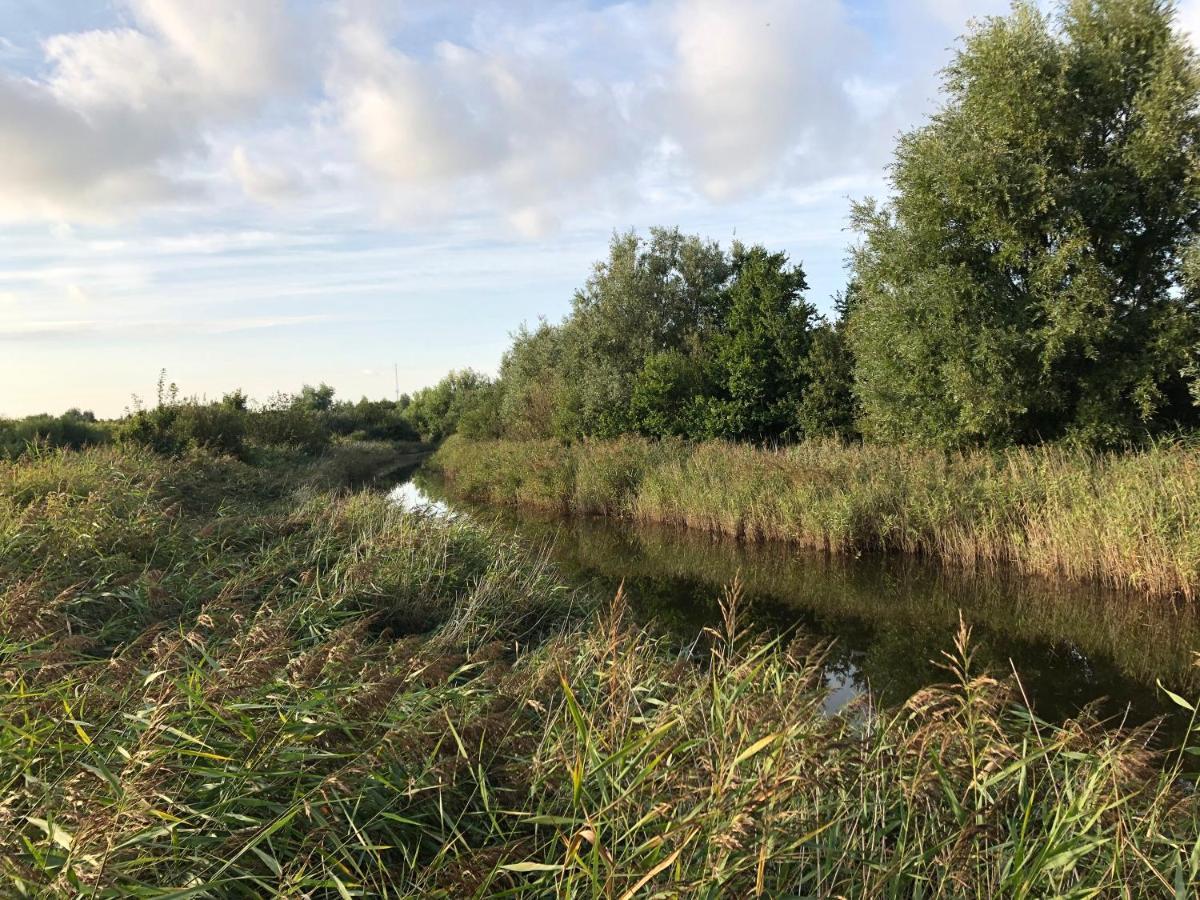 Westkapelle Comfortabele Strandkamer Aan De Kreek Eksteriør bilde